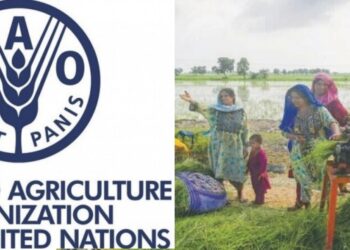 فوڈ اینڈ ایگریکلچر آرگنائزیشنکی طرف سے موسمیاتی تبدیلیوں سے نمٹنے کے لیے سندھ کے تین اضلاع کےخاندانوں کی مدد کے لیے اسکیم کا آغاز