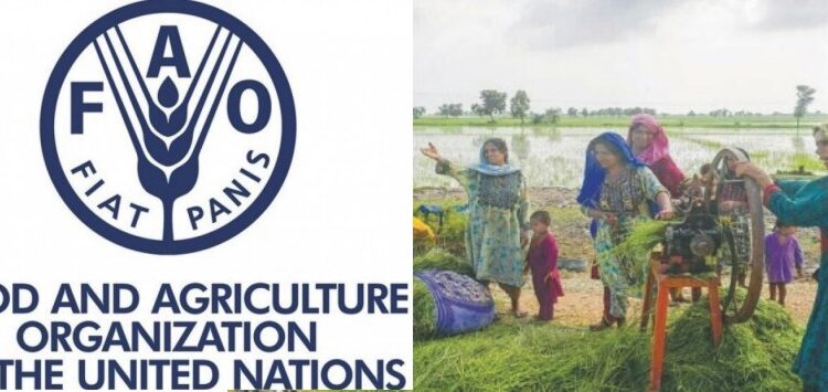 فوڈ اینڈ ایگریکلچر آرگنائزیشنکی طرف سے موسمیاتی تبدیلیوں سے نمٹنے کے لیے سندھ کے تین اضلاع کےخاندانوں کی مدد کے لیے اسکیم کا آغاز