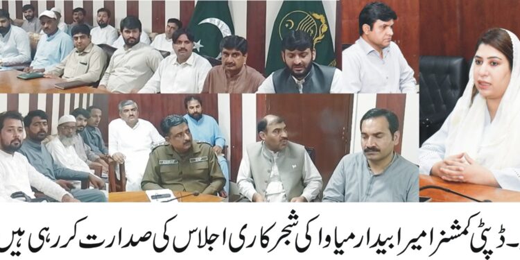 ضلع لیہ میں میاواکی شجرکاری کی تیاریاں مکمل