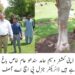 ملتان:پارکس اور گرین بیلٹس کی اپ گریڈیشن کا آغاز