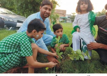 ضلع میں شجرکاری مہم کے تحت پودے لگانے کا سلسلہ جاری