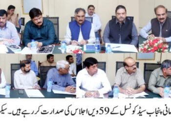 نجاب سیڈ کونسل 59واں اجلاس،پنجاب سیڈ کونسل ایکسپرٹ سب کمیٹی بحالی و تشکیل نو کے امور کا جائزہ