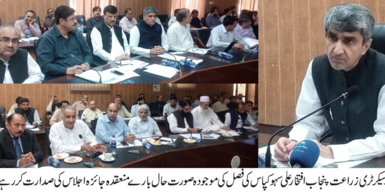 کپاس کی موجودہ صورت حال اور حالیہ بارشوں کے فصل پر اثرات کا جائزہ،گیا ستمبر کا مہینہ کپاس کی مینجمنٹ کے حوالے سے اہم، فیلڈ سرگرمیوں میں مزید تیزی لائی جائے، افتخار علی سہو