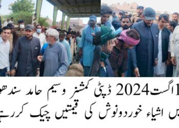 مہنگائی مافیا کو نکیل ڈالنے کے لیے روزانہ کی بنیاد پر اشیاءخوردونوش کی مانیٹرنگ کا سلسلہ جاری