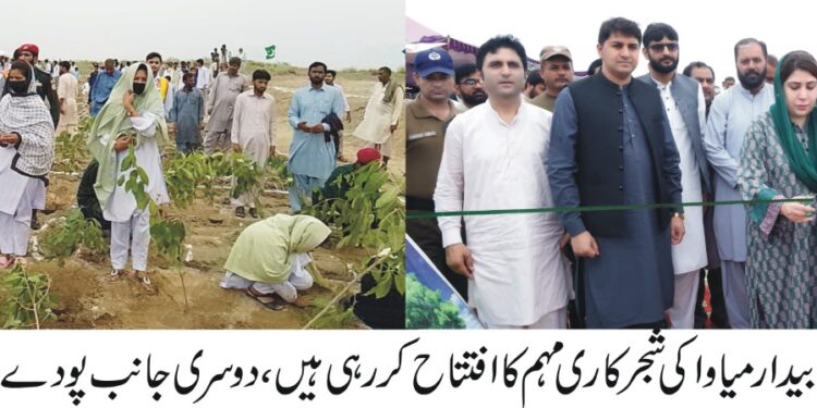 وزیر اعلیٰ پنجاب مریم نواز شریف کے ویژن پلانٹ فار پاکستان کے تحت ضلع لیہ میں بیک وقت 30 ہزار پودے لگا دئے گئے