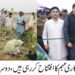 وزیر اعلیٰ پنجاب مریم نواز شریف کے ویژن پلانٹ فار پاکستان کے تحت ضلع لیہ میں بیک وقت 30 ہزار پودے لگا دئے گئے