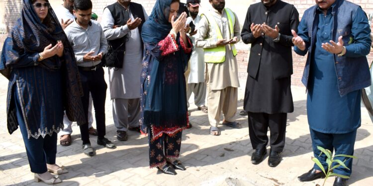 وزیراعلی پنجاب مریم نواز کے ستھرا پنجاب، زیرو سموگ، پلانٹ اے ٹری فار پاکستان وژن کا ملتان ڈویژن میں عملی نفاذ