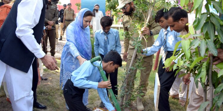 کمشنر ملتان ڈویژن مریم خان نے ڈپٹی کمشنر وسیم حامد سندھو کے ہمراہ گورنمنٹ بوائز ہائی سکول شجاع آباد میں طلباء کیساتھ شجرکاری کی