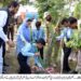 کمشنر ملتان ڈویژن مریم خان نے ڈپٹی کمشنر وسیم حامد سندھو کے ہمراہ گورنمنٹ بوائز ہائی سکول شجاع آباد میں طلباء کیساتھ شجرکاری کی