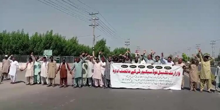 پاکستان سنٹرل کاٹن ریسرچ انسٹیٹوٹ ملتان ایپکا ملازمین کو 7 اکتوبر تک تنخواہیں،بقایا جات،پنشن نہ ملنے پر شجاع آباد روڈ کو مکمل بند کرنے کا ااعلان