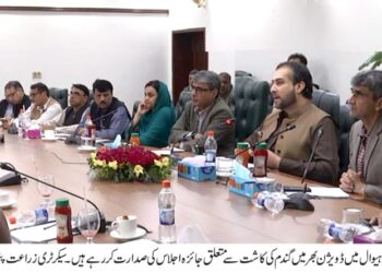 وزیراعلی پنجاب مریم نواز شریف کا 400 ارب روپے کا کسان پیکج کاشتکاروں  کی خوشحالی کا باعث بنے گا۔وزیر زراعت و لائیو سٹاک پنجاب سید عاشق حسین کرمانی