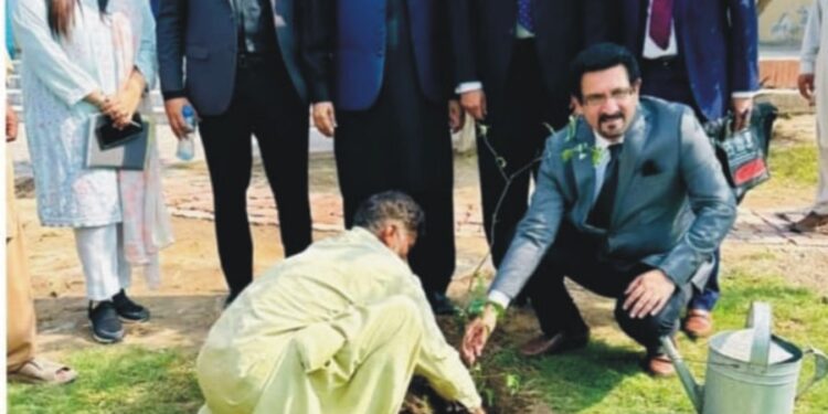 وائس چانسلر بہاءالدین زکریا یونیورسٹی ملتان ڈاکٹر محمد زبیر اقبال نے انسٹیٹیوٹ آف بینکنگ اینڈ فنانس کے سبزہ زار میں پودا لگا کر شجرکاری مہم کا افتتاح کر دیا