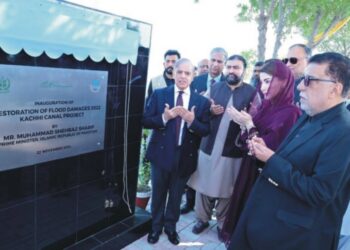 سعودی عرب کے خلاف زہر ناقابل معافی جرم؛ قوم ایسے ہاتھ توڑ دے: وزیراعظم