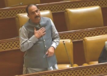 "کپاس کی بحالی: گنے اور چاول کی کاشت کے مضمرات اور رانا محمد سلیم ممبر پنجاب اسمبلی کی آواز