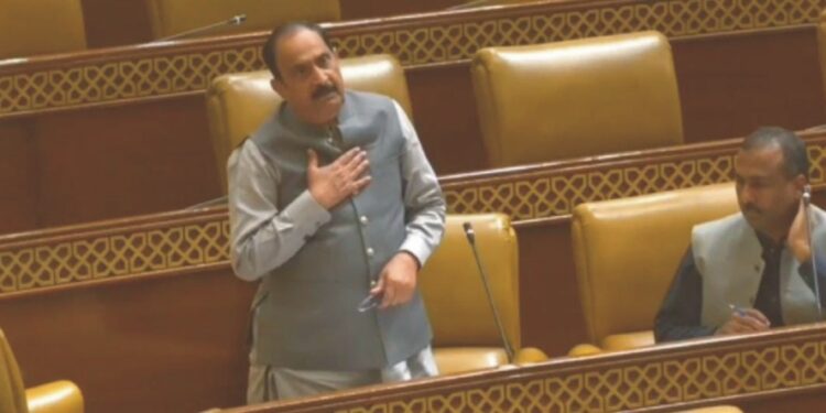 "کپاس کی بحالی: گنے اور چاول کی کاشت کے مضمرات اور رانا محمد سلیم ممبر پنجاب اسمبلی کی آواز