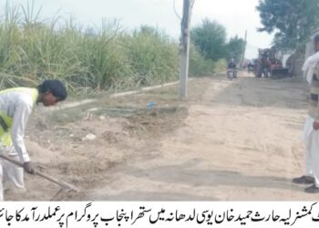 لیہ: ستھرا پنجاب پروگرام کے تحت قبرستانوں کی صفائی مہم کا آغاز