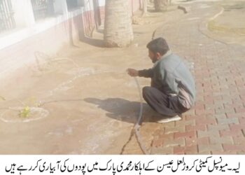 وزیراعلیٰ پنجاب کے وژن پر عمل: ضلع بھر میں صفائی ستھرائی اور پارکوں کی بحالی کا کام تیزی سے جاری